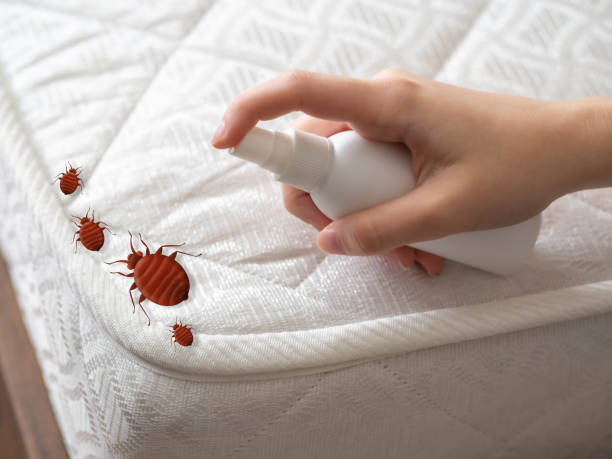 Best Real Estate Pest Inspections  in Roselle, IL